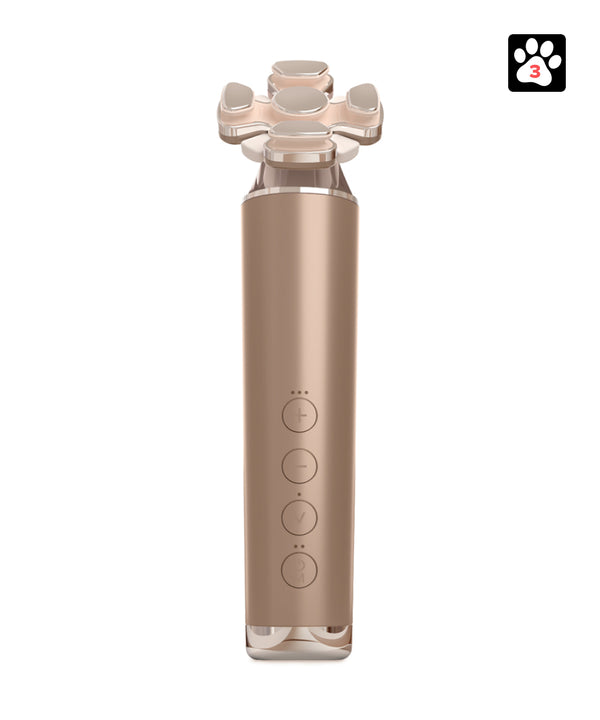 Масажер Couleur Labo Zogankin Bloom- EXC.UA 