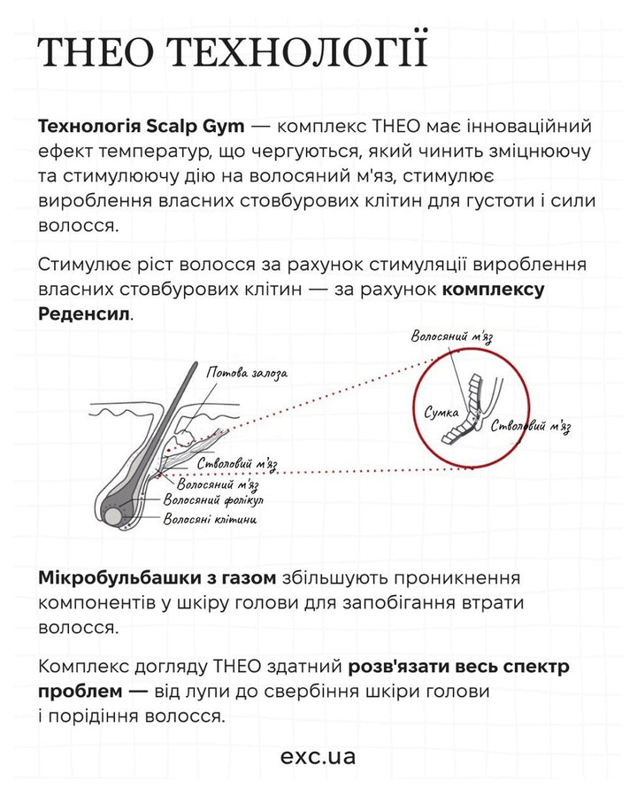 Шампуні Lebel THEO Scalp Shampoo- EXC.UA 