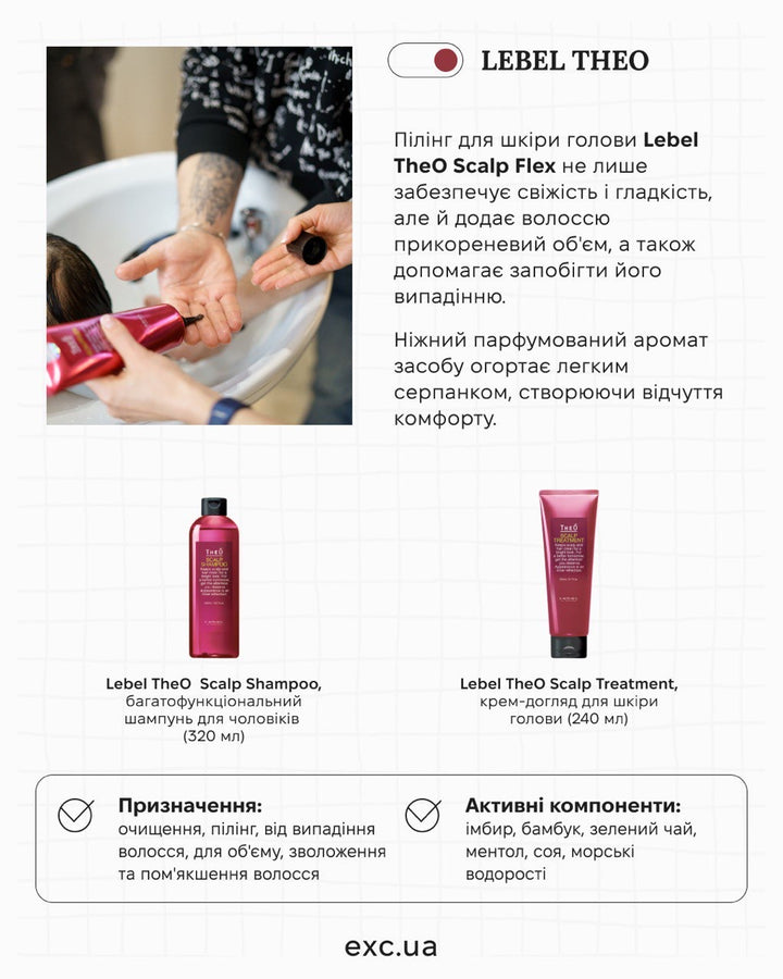 Шампуні Lebel THEO Scalp Shampoo- EXC.UA 