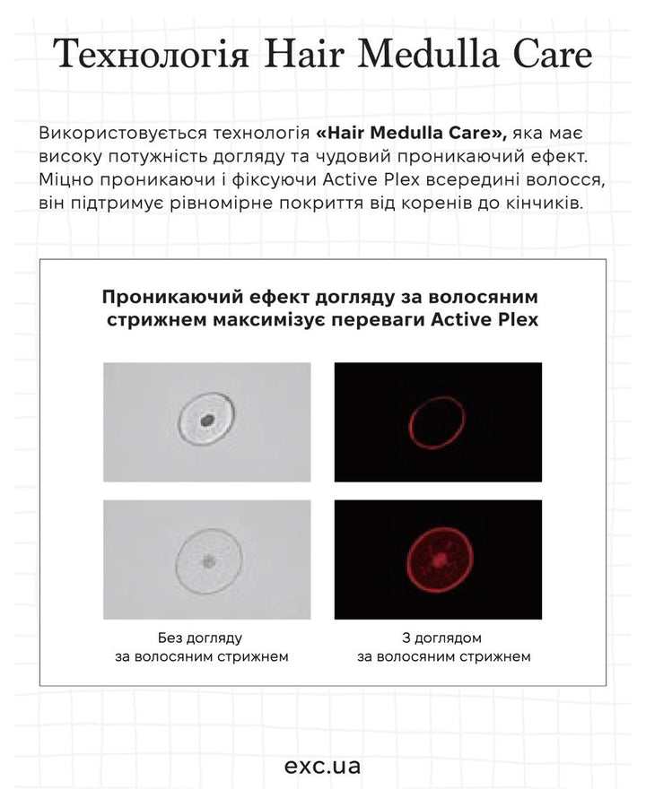 SPA догляд Lebel HITA Active Plex Treatment SPA- EXC.UA 