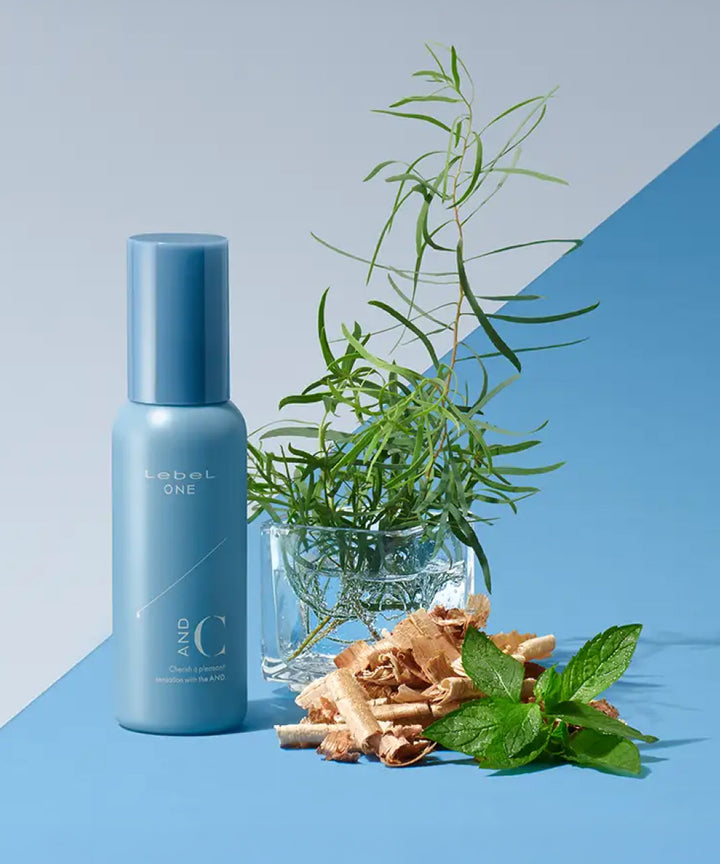 SPA компонент Lebel One and C- EXC.UA 