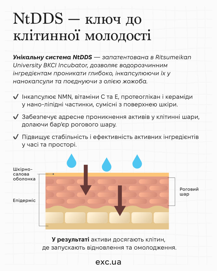 Сироватка для обличчя NMN ATHLETE Premium Essence- EXC.UA 