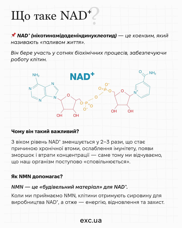 NMN вітаміни NMN Athlete Wellness- EXC.UA 