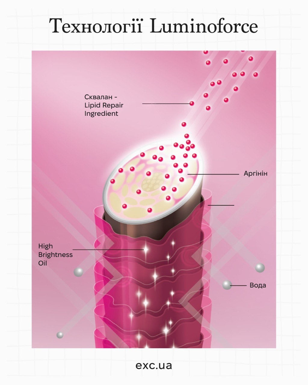 Shiseido Sublimic Luminoforce - Шампунь для окрашенных волос - Exc