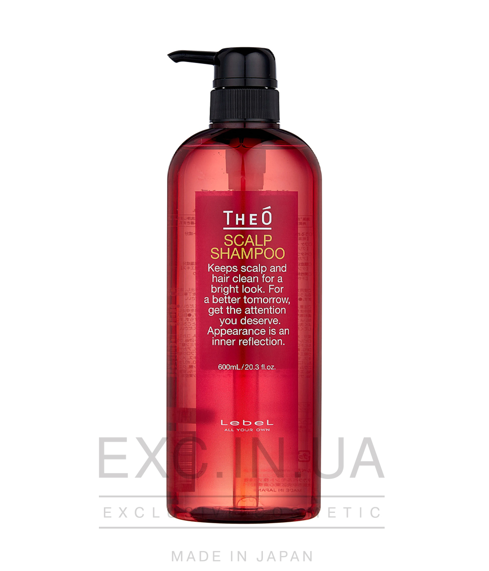 Lebel THEO Scalp Shampoo - Багатофункціональний шампунь для чоловіків