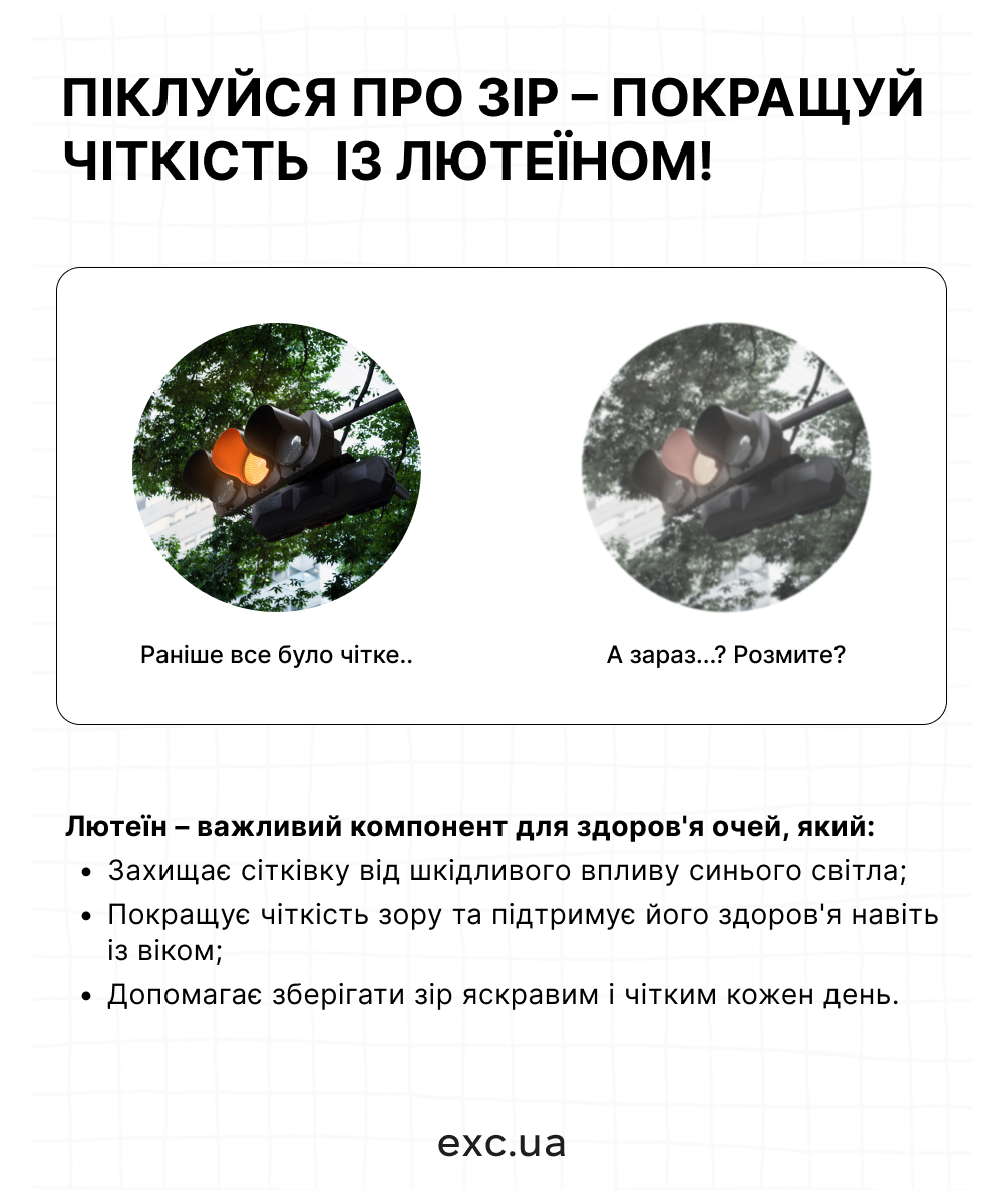 DHC Lutein Light Protection - Комплекс для підтримки здоровʼя очей с лютеїном