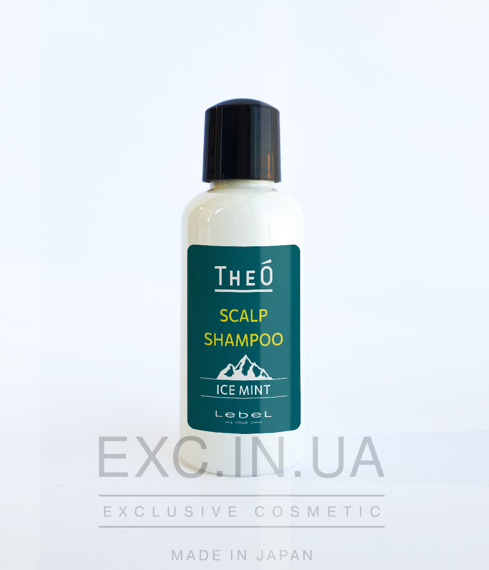 Lebel THEO Scalp Shampoo Ice Mint - Чоловічий шампунь з ефектом охолодження