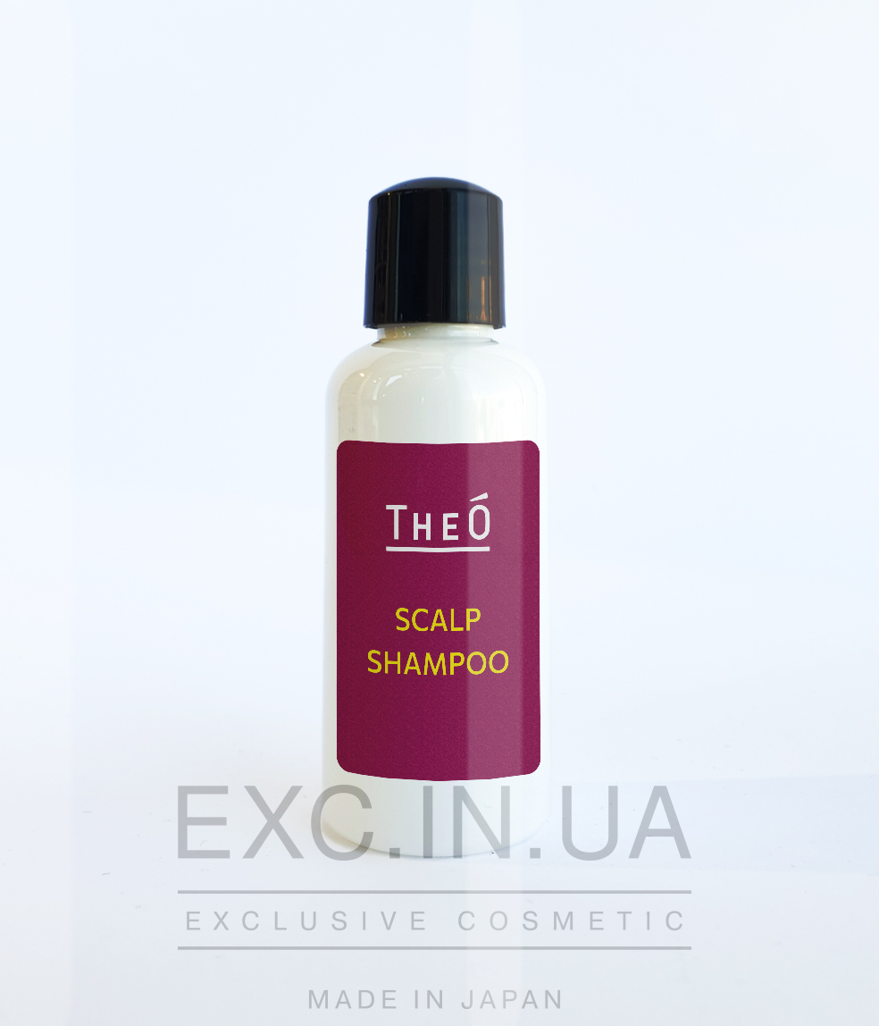 Lebel THEO Scalp Shampoo - Багатофункціональний шампунь для чоловіків